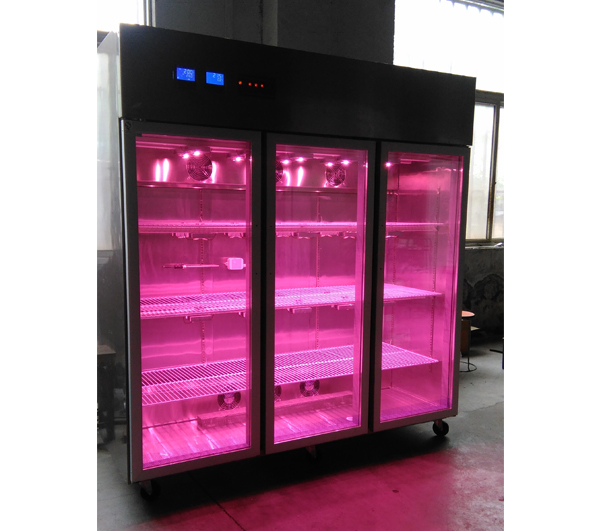 HSR1500LED3-CO2红蓝光LED二氧化碳人工气侯箱