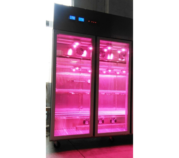 HSR1000LED3-CO2红蓝光LED二氧化碳人工气侯箱