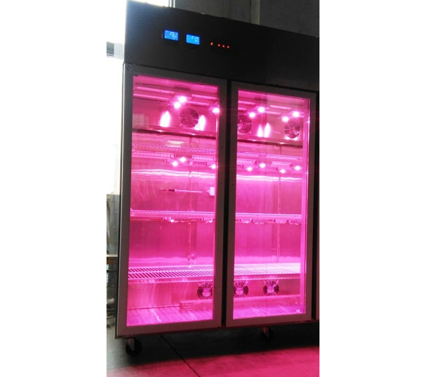 GZ1000LED3-CO2红蓝光LED光照培养箱