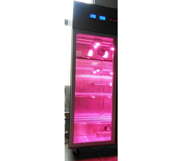GZ500LED3-CO2红蓝光LED光照培养箱
